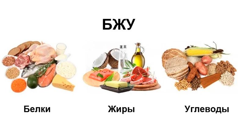 Баланс белков, жиров и углеводов