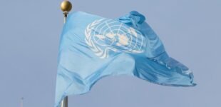 ООН про атаку Росії на гумконвой на Херсонщині: такі удари є абсолютно неприйнятними