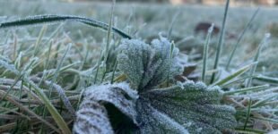 В найближчі дні в Україні буде прохолодно та майже без опадів