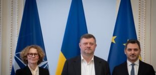 Корнієнко та заступниця генсекретаря НАТО Шекерінська обговорили посилення військової допомоги Україні