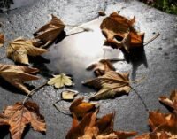 11 листопада: Яке сьогодні свято, все про цей день